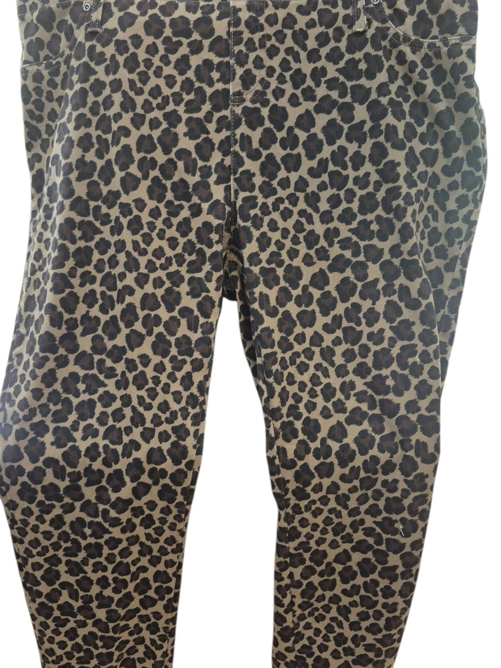 Terra & Sky Leopard Print Jeggings - Black and Brown Xl